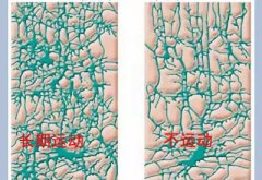 儿童妖精视频污污污app厂家科普运动可以有效促进儿童智力发育