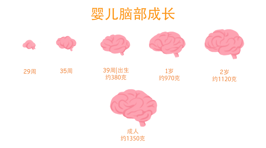 儿童智力测试评估系统有效促进儿童智力的发展